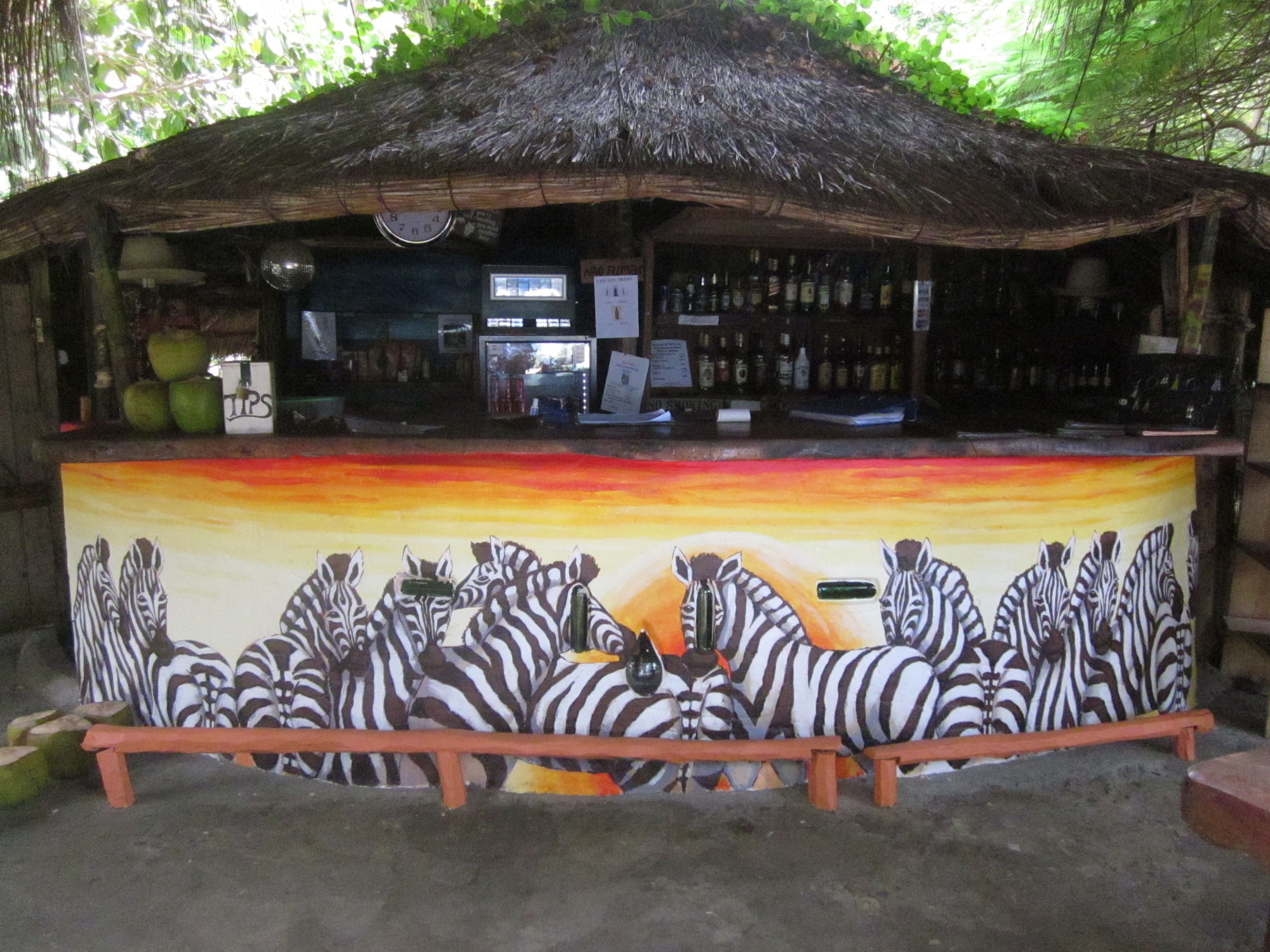 Baobab Beach Lodge And Backpackers Віланкулуш Екстер'єр фото